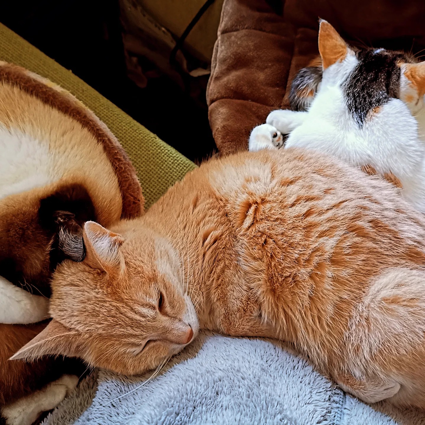 Read more about the article 幸せ過ぎて動けない朝♡