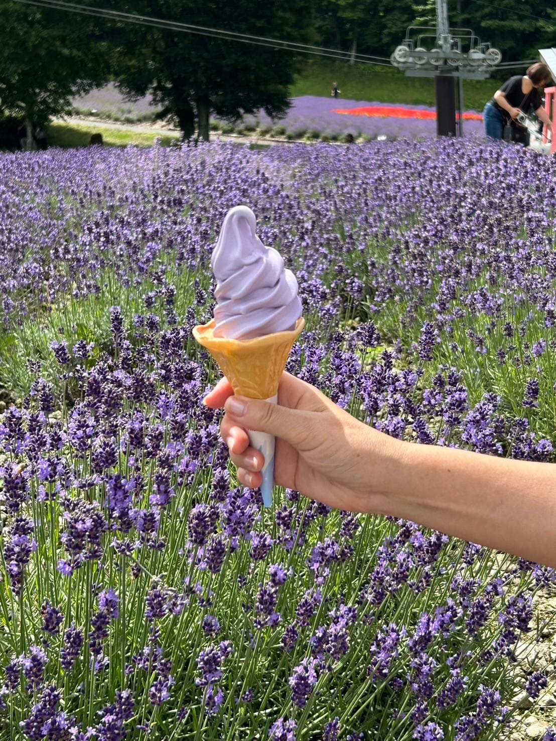 Read more about the article facebookへどうぞ